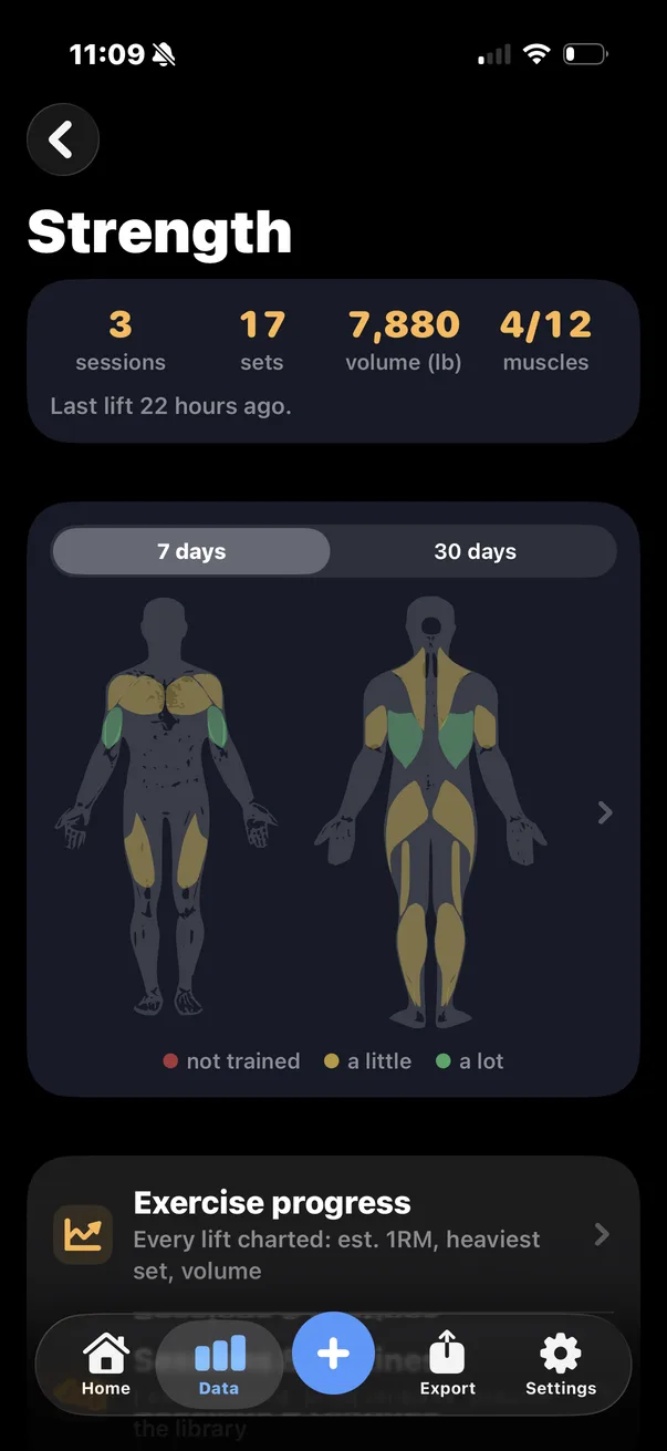 Strength: sessions, sets, volume, muscle map